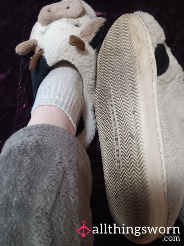 Slippers Photos 4/$20