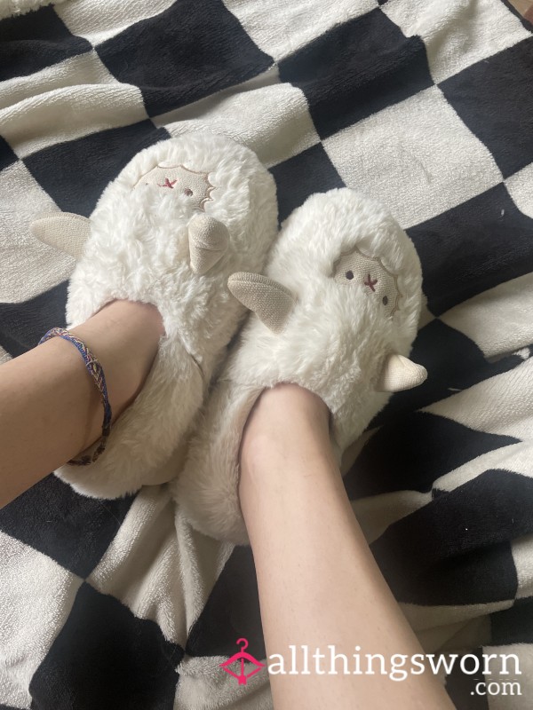 Slippers. Soft, Rare, Worn.🖤
