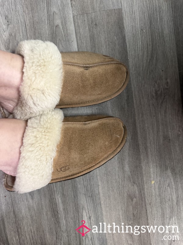 Slippers Well Worn Ugg (everyday For 19months)