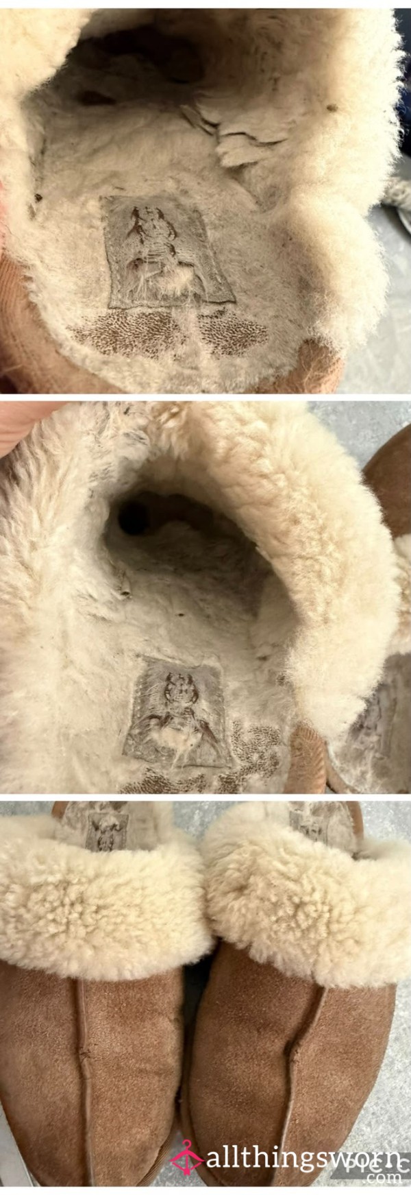Slippers Well Worn Ugg (everyday For 23 Months)