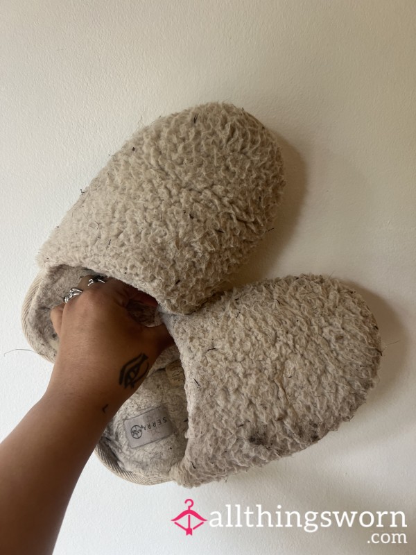 Slippers (Were Originally White)