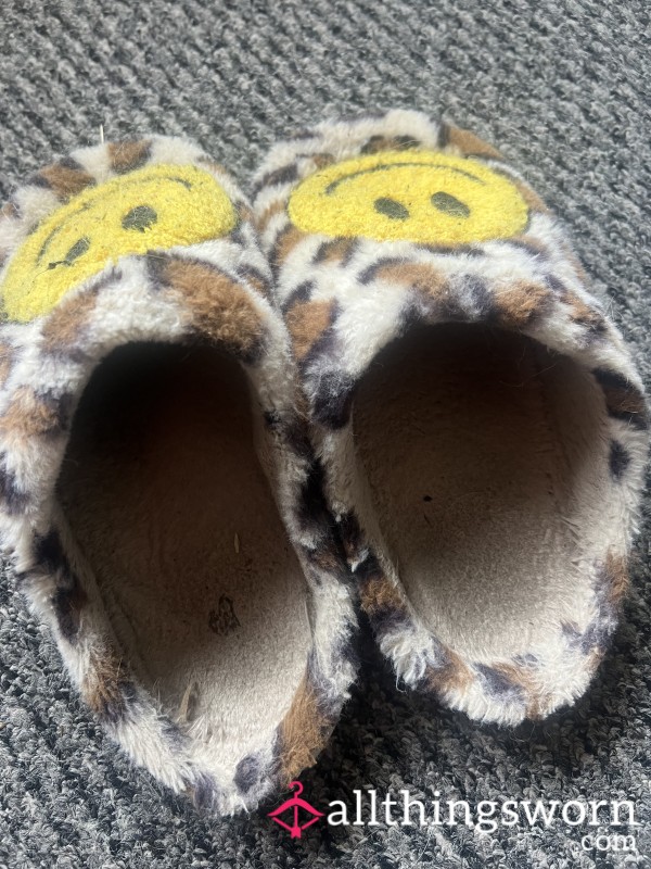 Slippers Worn Old