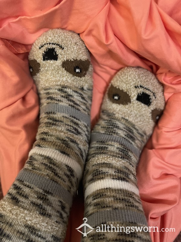 Sloth 🦥 Slipper Socks! So Well Loved, I Need New Ones - Vac Sealed 🦥