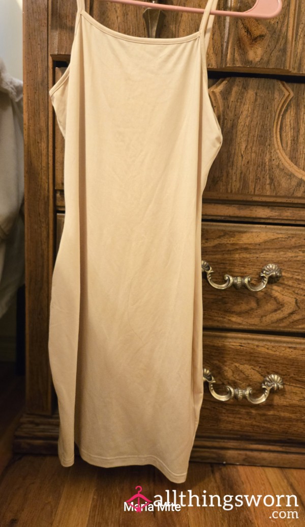 Small Nude Slip