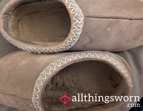 Smelly Grey Slippers