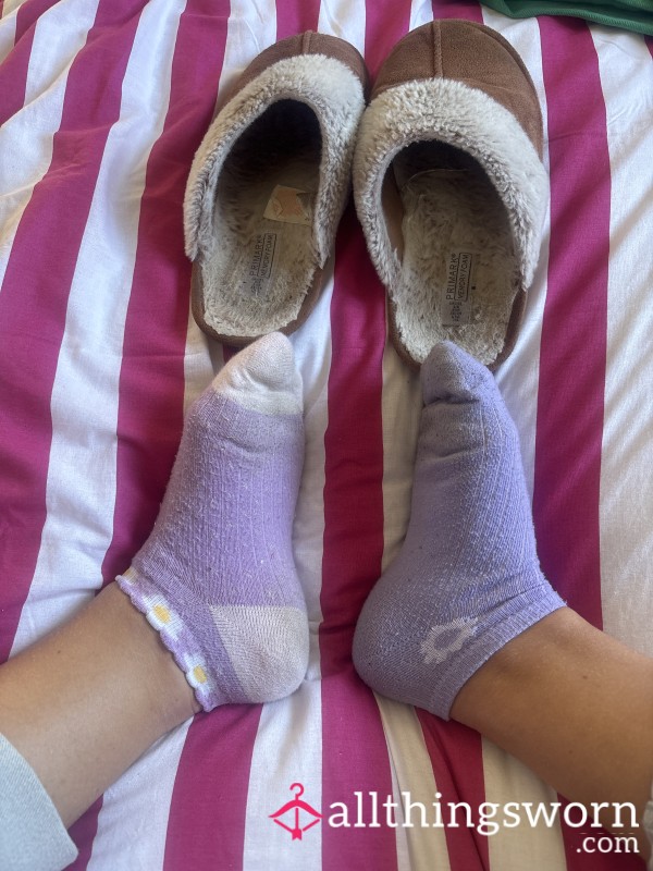 Smelly Odd Cute Trainer Socks