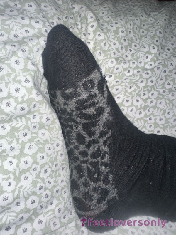 Smelly Office Socks