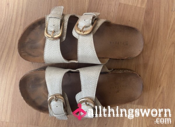 Smelly Old Birkenstocks