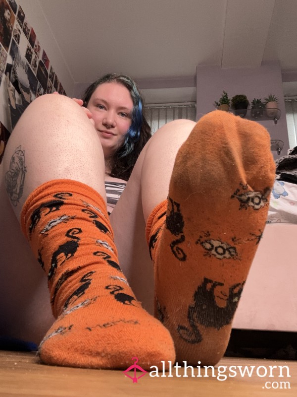 Smelly Old Cat Socks
