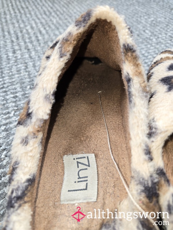 Smelly Old Slippers