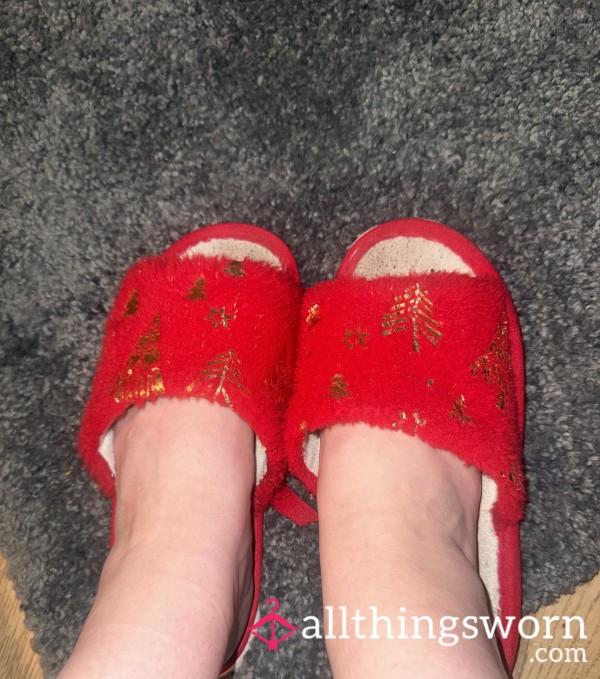 Well Worn Sweaty & Smelly Christmas Slippers