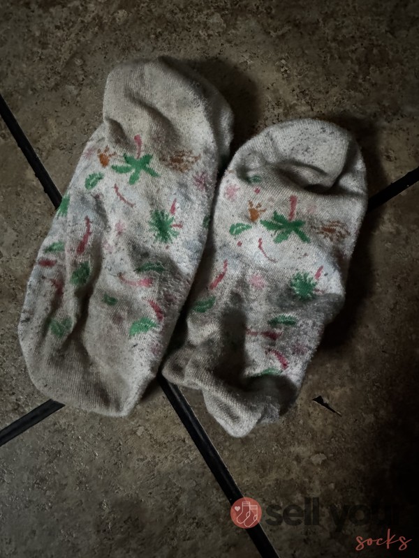Smelly Used Socks