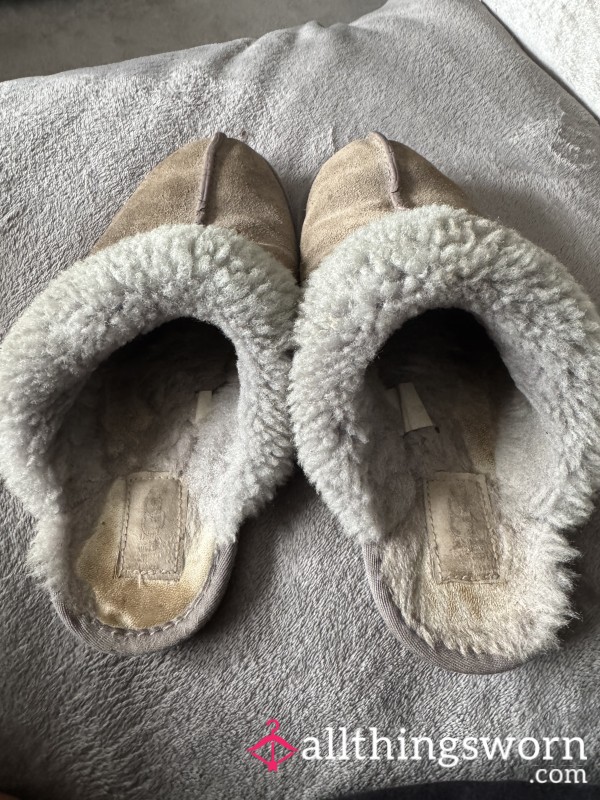 Smelly Well Worn Slippers