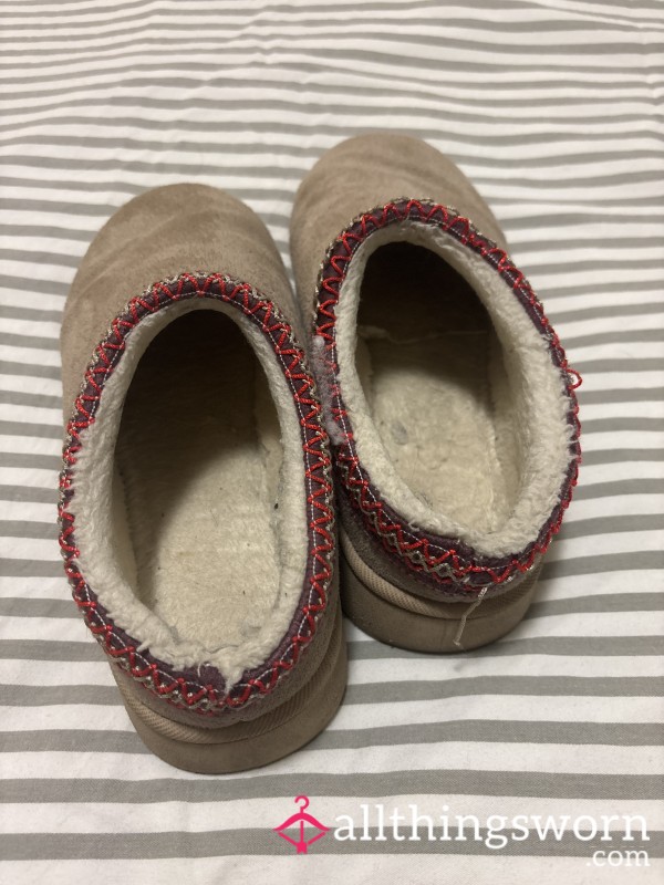 Smelly Well Worn Slippers