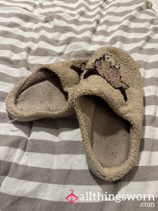 Smelly Well Worn Slippers