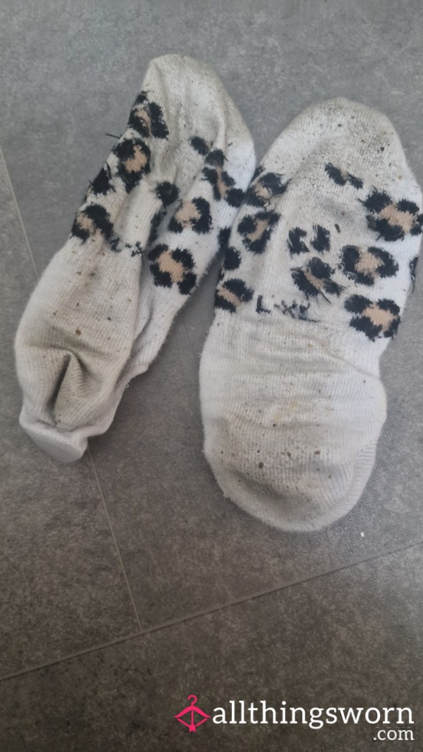 Smelly Worn Dirty Socks