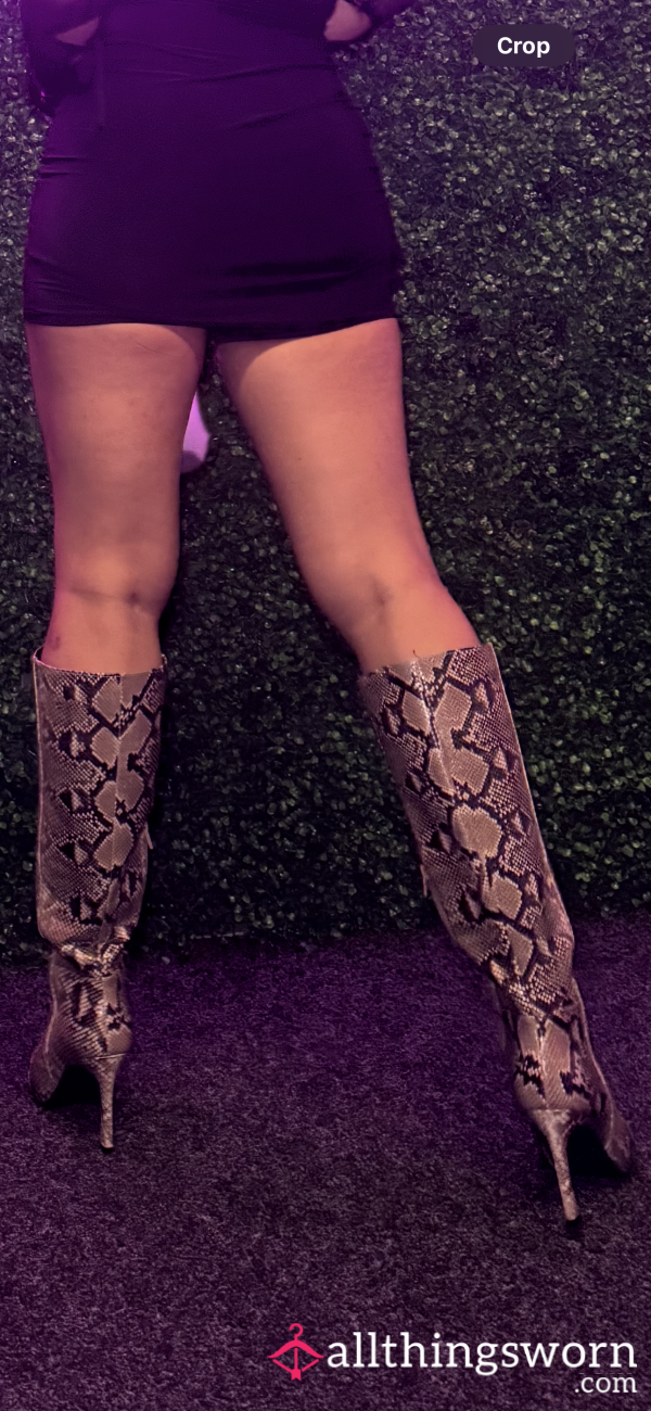 Snake Heels Worn By Your Cruel Goddess – Licked By Pavement, Ready For Your Tongue 🐍