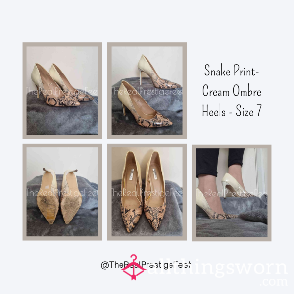 Snake Print-Cream Ombre Heels | Size 7 | Scuffed But Non-Smelly | Includes Pics & Clip - From £30 + P&P