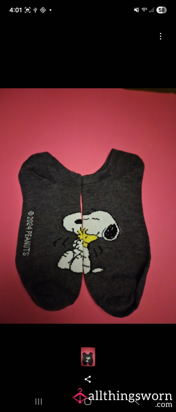 Snoopy & Woodstock’s 10-Hour Shift