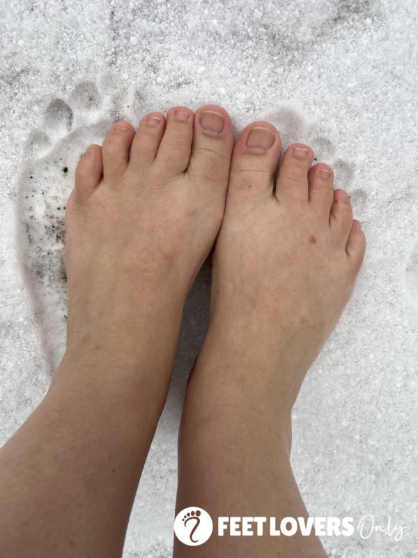Snow Day