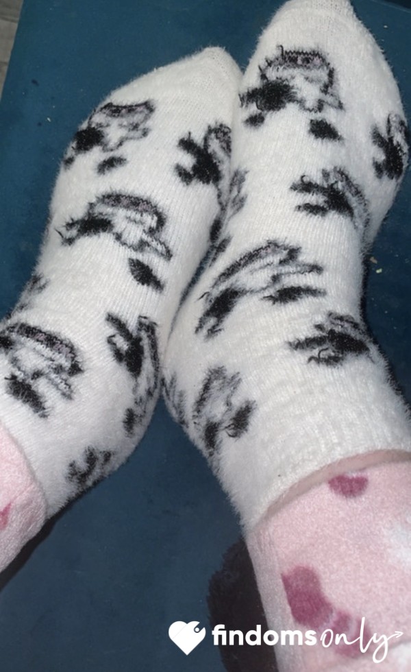 Socks