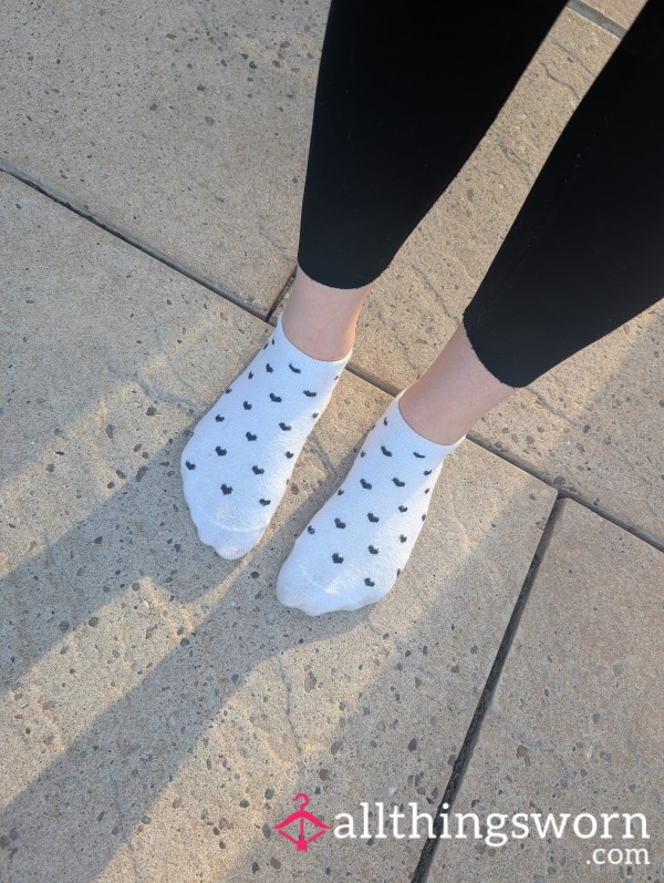 Socks 🧦