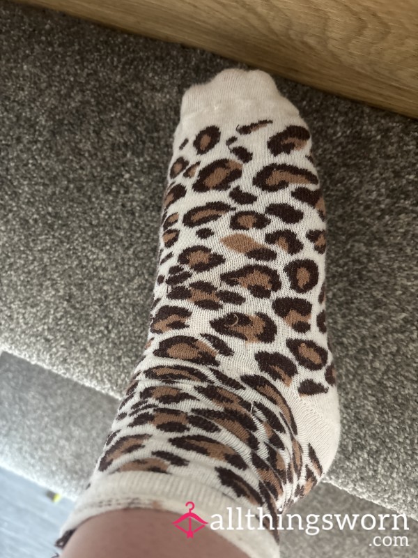 Socks 🐆