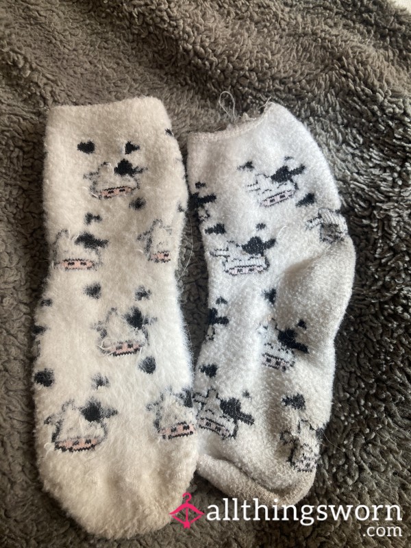 Socks 🧦