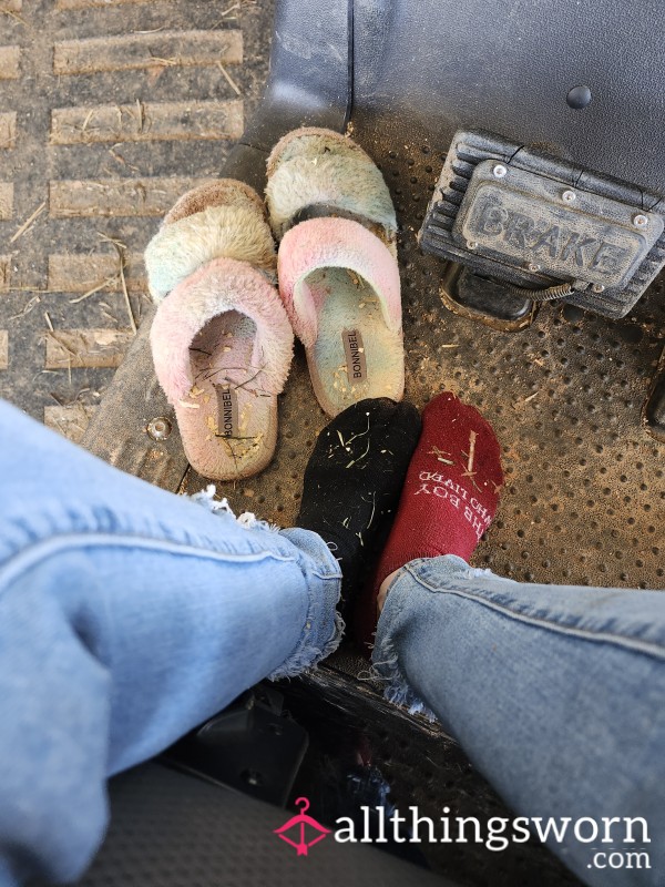 Socks And Slipper Bundle