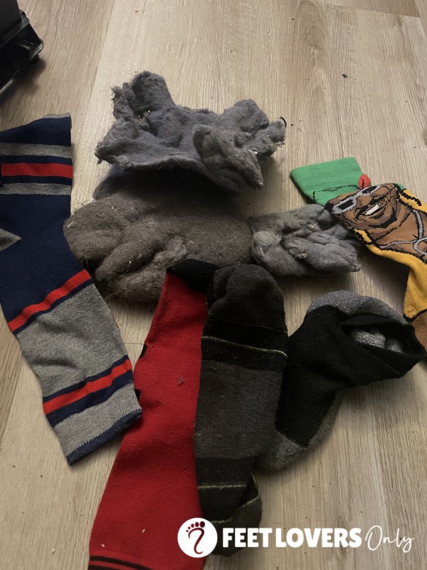 Socks And The Lint From The Socks And More $40 Free Shipping