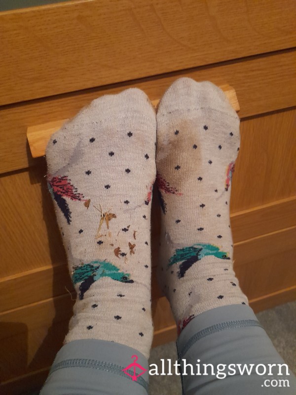 Socks From A Muddy Wet Day At The Stables