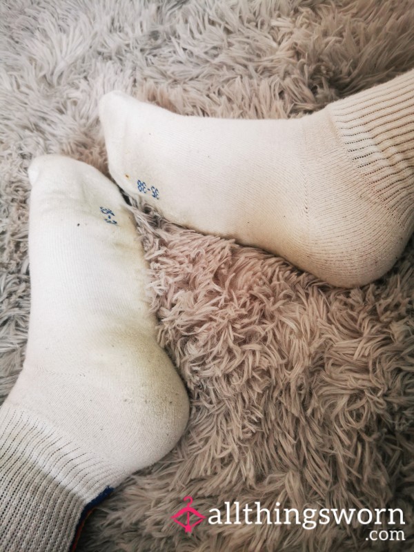 Socks (Single Day Wear)