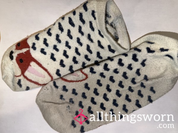 Socks, Smelly And Used Sneaker Socks Worn 3 Days!