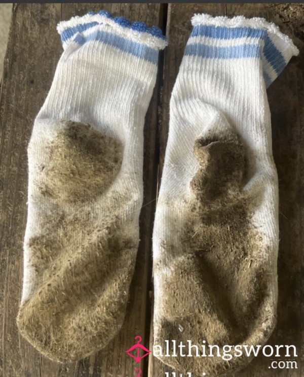 Socks, Stinky Dirty, Comes With Seven