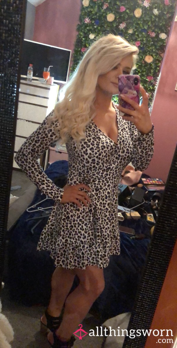 Soft Leopard Print Dress
