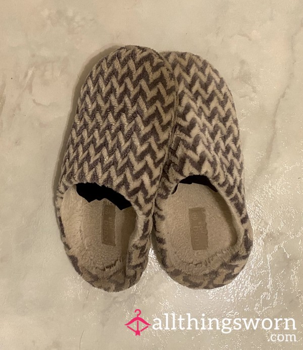 WELL WORN SLIPPERS