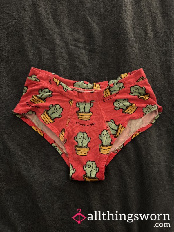 Soft Worn Panties With Add Ons Available