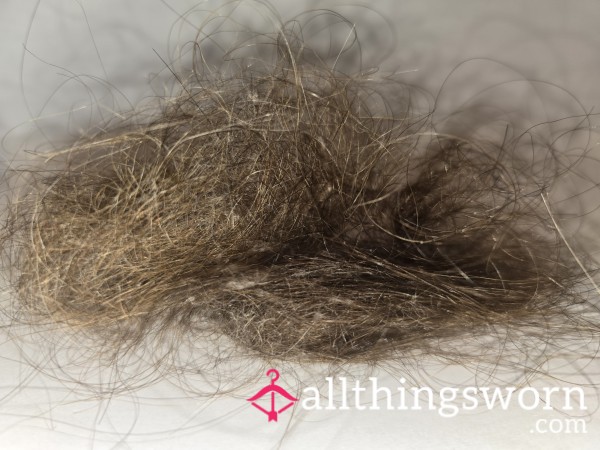 Some Hair From An Old Brush And Some Hair From My Current Brush