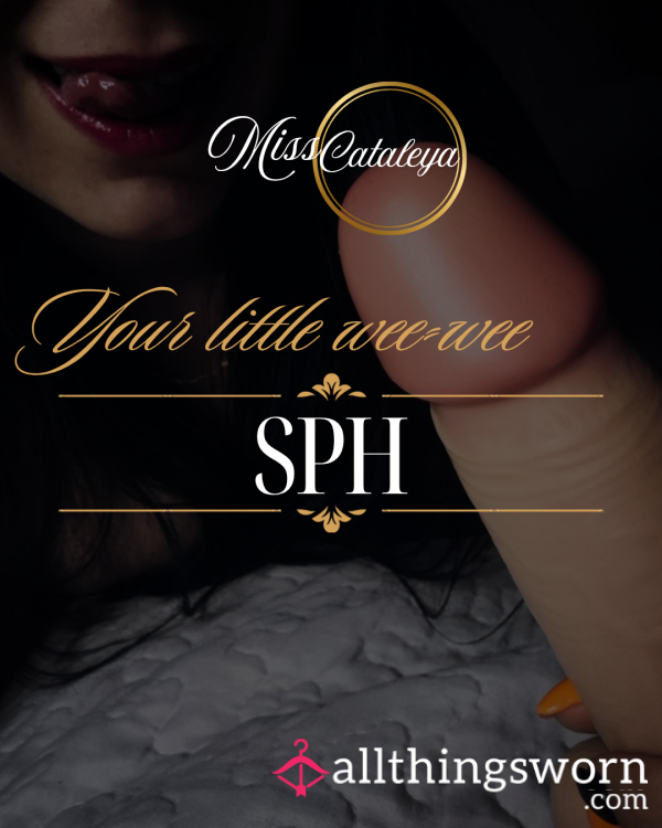 SPH - Show Me That Little Package