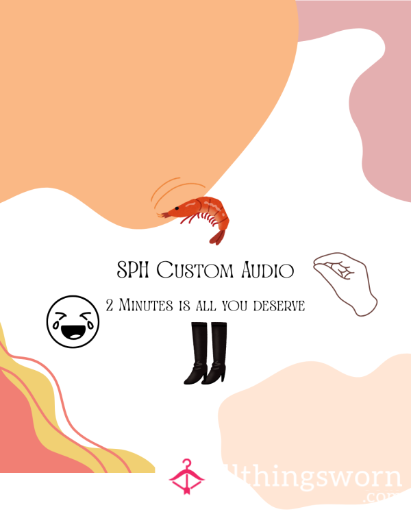 SPH Custom 2 Minute Audio