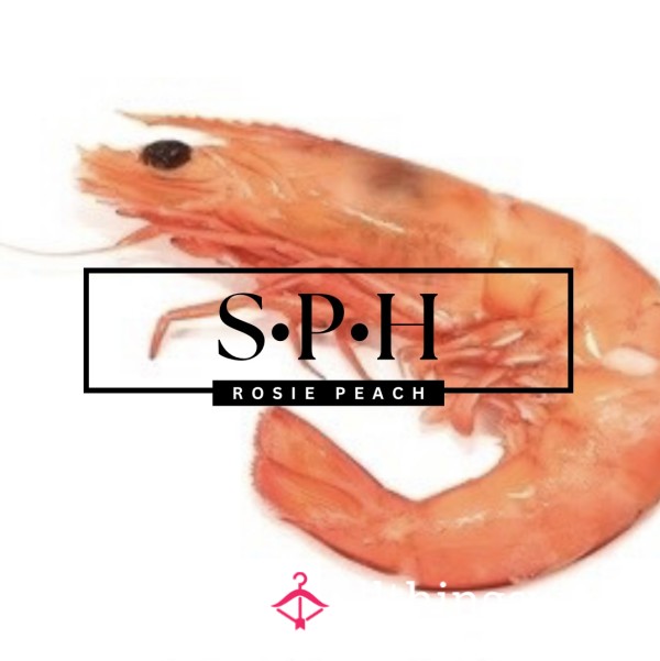 S.P.H- Rating~Session