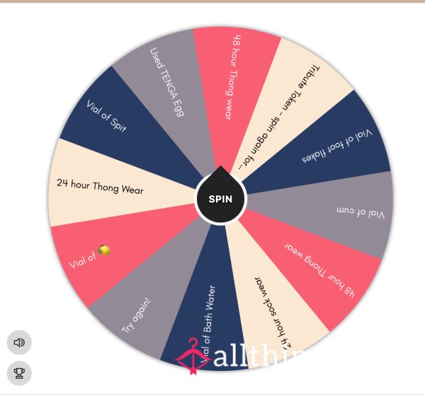 🎀Spin The Wheel - Physical Items!🎀
