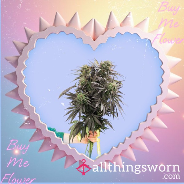 SPOIL ME & BUY ME FLOWER 💐🍃(14gs)