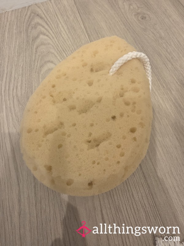 Sponge