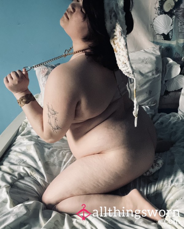 Spring Bunny Set