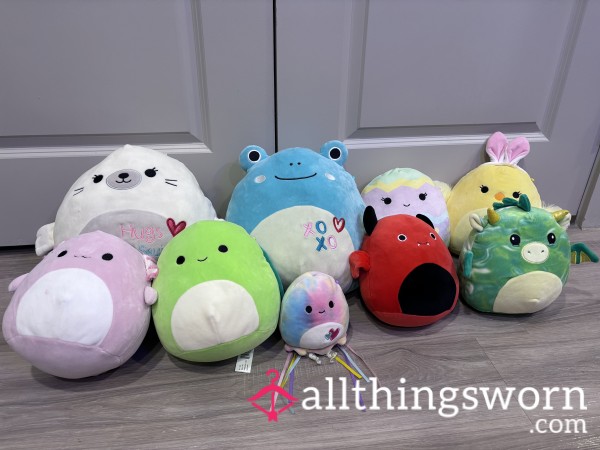 Squishmallow Stuffed Animals Slept With