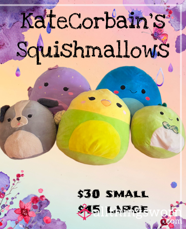 Squishmallows With Essence Of Kate