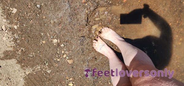 Squishy My Bodacious Toes In The Muddy Water In The Truckee Lake