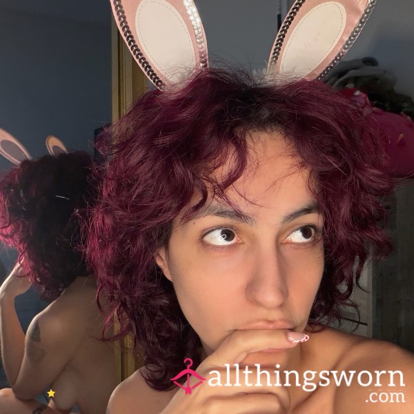 🐰 S!ssy Ears 💝