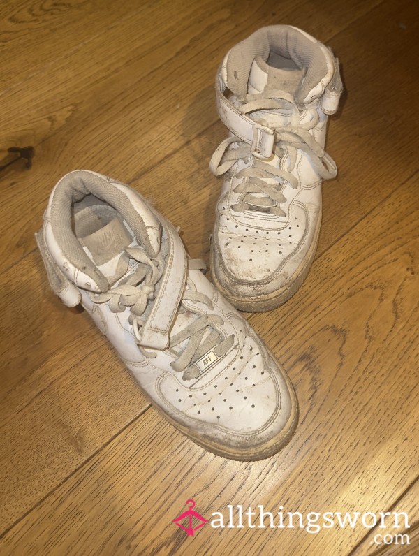 Stable Trainers